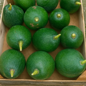 Caja de Aguacates Bacon