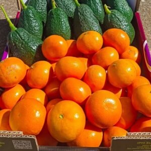 Caja Mixta: Aguacates Lamb Hass + mandarina