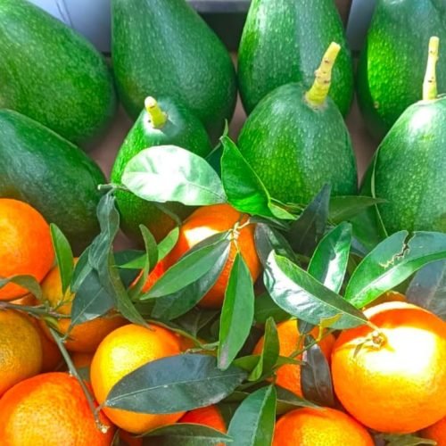 WhatsApp Image 2025-12-26 at 12.57.31